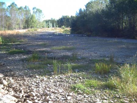 Re: Río Torío, una muerte confirmada